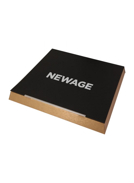 ÇINAR ALTIN MIKNATISLI KUTU (25X27X2 CM)