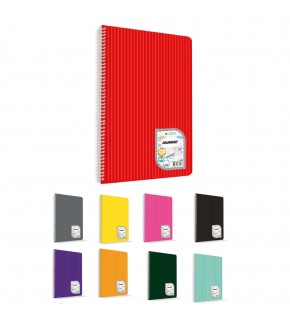 Çınar Colormaxi Spiralli Defter Plastik Kapak Çizgili 60 YP A4 60/1 73013 (1 Adet)
