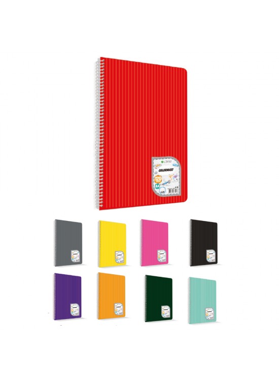 Çınar Colormaxi Spiralli Defter Plastik Kapak Çizgili 72 Yaprak A4 72/1 73001 (1 Adet)