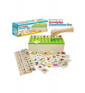 Circle Toys Bilgi Sınıflandırma Kutusu CRCL-114