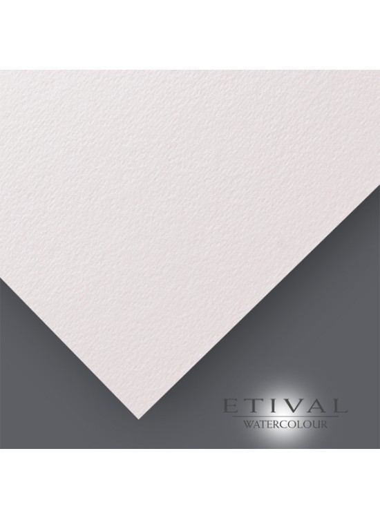 Claırefontaıne Teknik Resim Kağıdı Sulu Boya Etival Classıc 50x70 CM 300 gr EK93458 (1 Adet) Claırefontaıne Teknik Resim Kağıdı Sulu Boya Etival Classıc 50x70 CM 300 gr EK93458 (1 Adet)