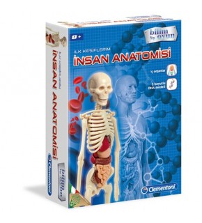 Clementoni İlk Keşiflerim (İnsan Anatomisi) 64297