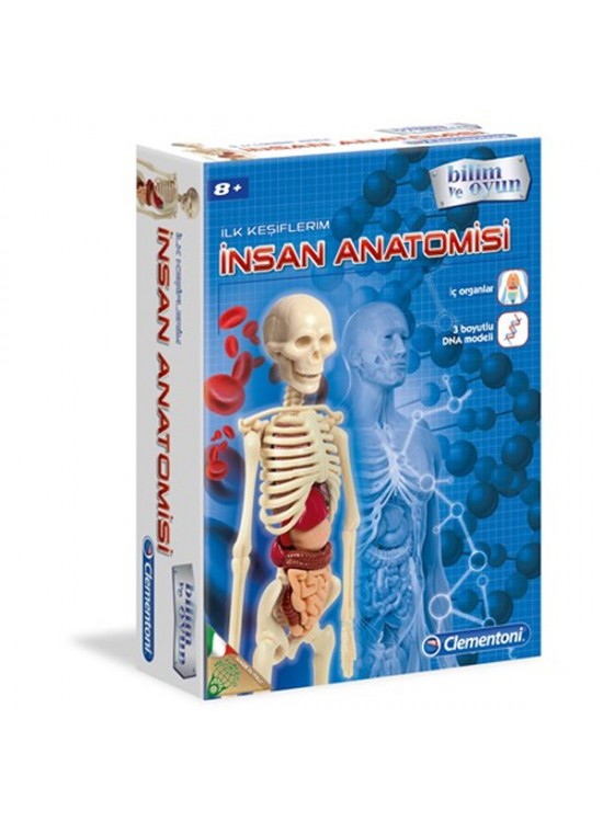 Clementoni İlk Keşiflerim (İnsan Anatomisi) 64297