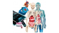 Clementoni Süper Anatomi 64474