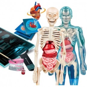 Clementoni Süper Anatomi 64474
