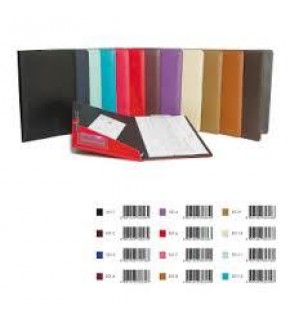 Comix Lastikli Bloknotlu Dosya Şeffaf A4 A1809