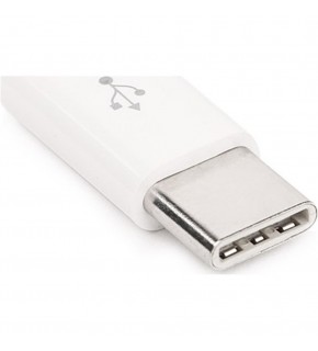 Dark USB Type C Erkek Micro Usb Dişi Çevirici