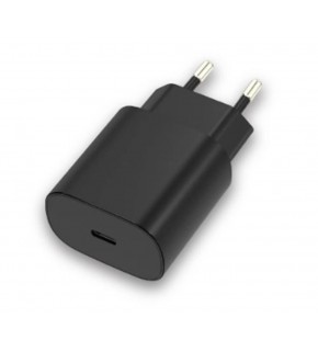 Dexim 25W AC Şarj Cihazı Type C