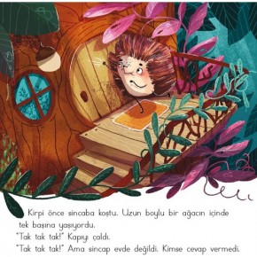 Dikkat Atölyesi Niçin Kırgınım? (Hikayelerle Duygular 4)