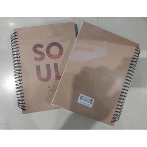 Dilman Naturel Spiralli Defter 16x22 100 YP Çizgili 6176