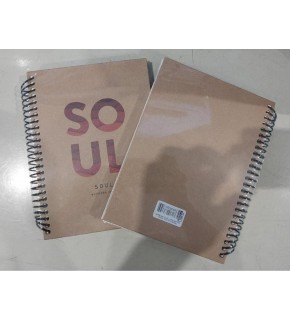 Dilman Naturel Spiralli Defter 16x22 100 YP Çizgili 6176