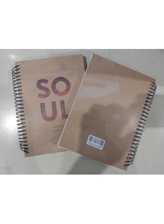 Dilman Naturel Spiralli Defter 16x22 100 YP Çizgili 6176