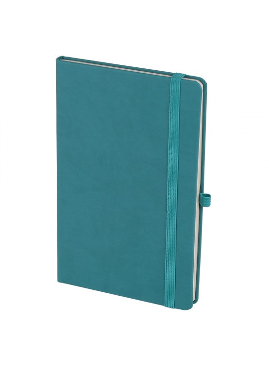 DIŞKAPI TURKUAZ TARİHSİZ DEFTER (13X21 CM) DIŞKAPI TURKUAZ TARİHSİZ DEFTER (13X21 CM)