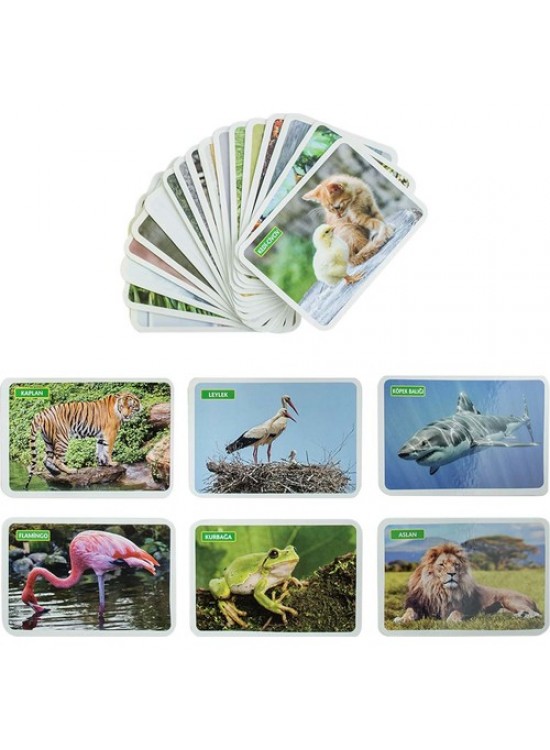 Dıy Toy İlk 50 Hayvan Flash Cards 12 Ay Üzeri