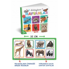 Dıy Toy İlk Kitaplarım Seti 6lı