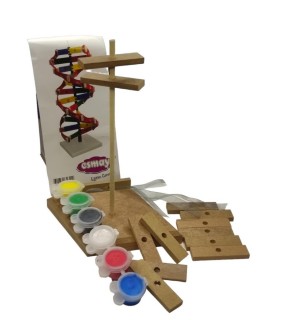 Dna Sistemi Modeli Seti