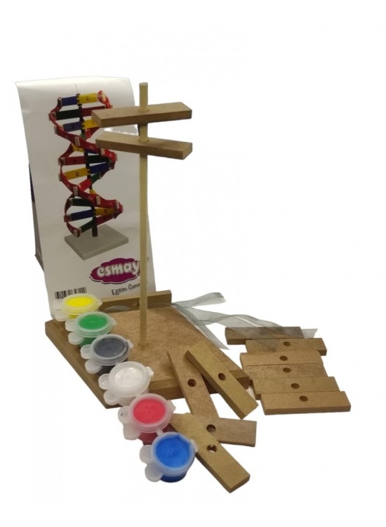 Dna Sistemi Modeli Seti