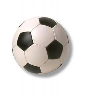 Futbol Topu 320Gr
