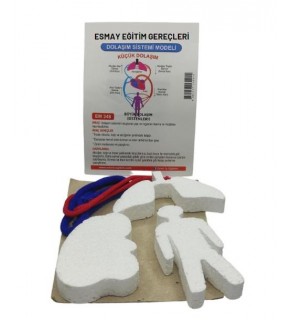 Dolaşım Sistemi Modeli Em348