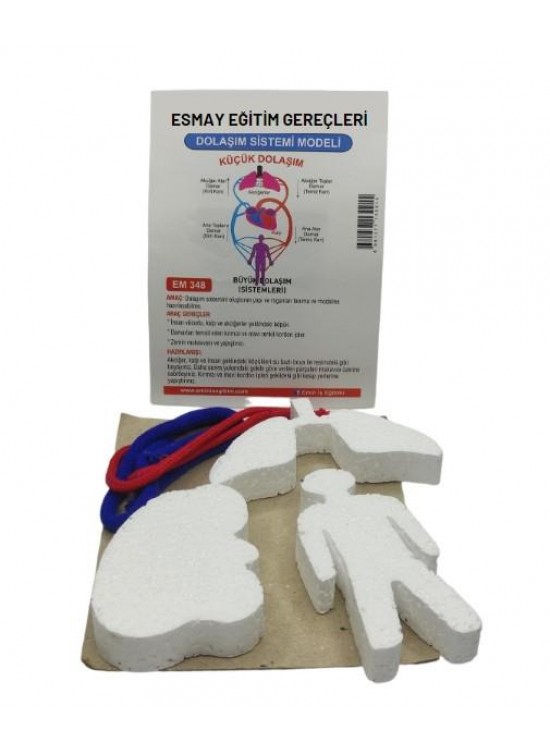 Dolaşım Sistemi Modeli Em348