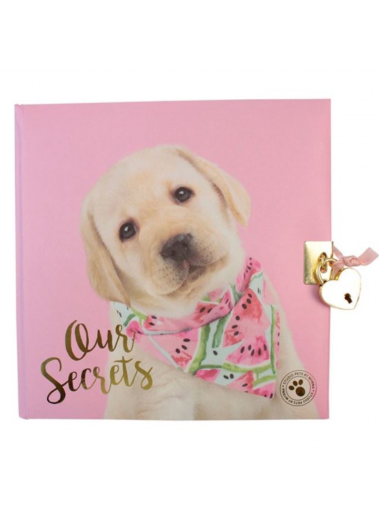 Dolphin Hatıra Defteri Studıo Pets Kilitli Pt-7790