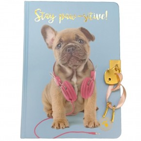 Dolphin Hatıra Defteri Studıo Pets Kilitli Sert Kapak Pt-7789