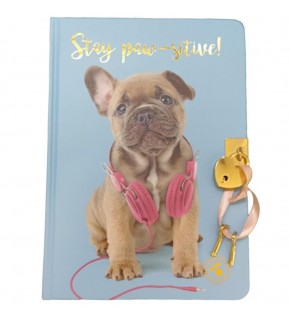 Dolphin Hatıra Defteri Studıo Pets Kilitli Sert Kapak Pt-7789