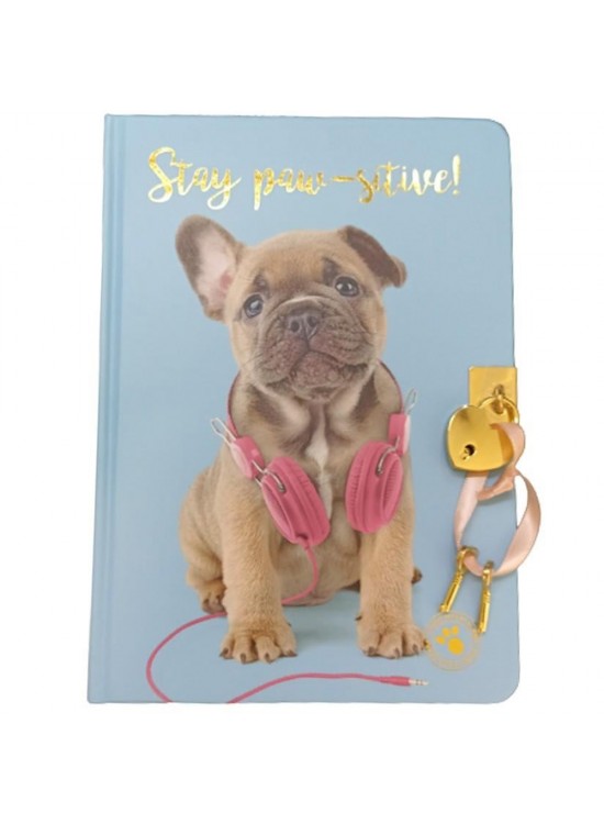 Dolphin Hatıra Defteri Studıo Pets Kilitli Sert Kapak Pt-7789