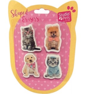 Dolphin Studio Pets Blisterli Silgi Seti PT-783
