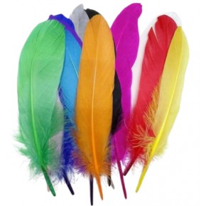 Dominic Tüy (1 Adet)