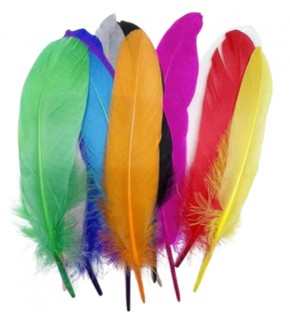 Dominic Tüy (1 Adet)