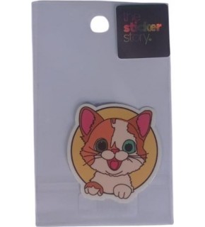 Ekstrafix The Sticker Story Tss0004