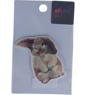 Ekstrafix The Sticker Story Tss0041
