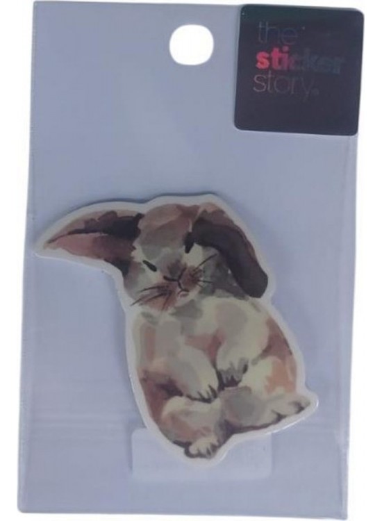 Ekstrafix The Sticker Story Tss0041