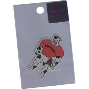 Ekstrafix The Sticker Story Tss0128