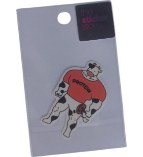 Ekstrafix The Sticker Story Tss0128