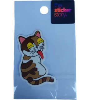 Ekstrafix The Sticker Story Tss0153