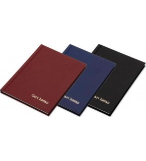 Elma Cari Hesap Defteri Dik 17x24 160 YP