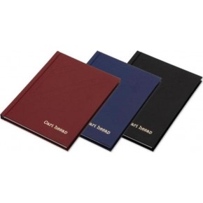 Elma Cari Hesap Defteri Dik 17x24 320 YP