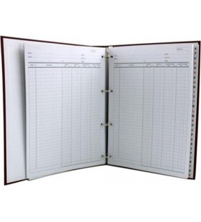 Elma Cari Hesap Klasörü Büyük 20x28