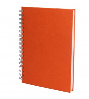 ELMADAĞ TURUNCU TARİHLİ SPİRALLİ AJANDA (17X24 CM)