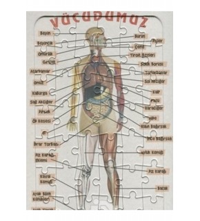 Ema Yap-Boz İnsan Vücudu 25x35 /Eleleilkadım