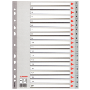 Esselte Seperatör 1-20 Rakamlı Plastik A4 100107