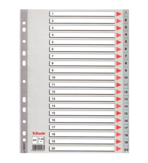 Esselte Seperatör 1-20 Rakamlı Plastik A4 100107