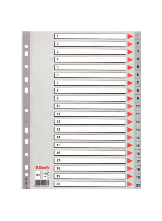Esselte Seperatör 1-20 Rakamlı Plastik A4 100107