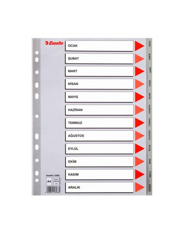 Esselte Seperatör Aylar Plastik A4 13936