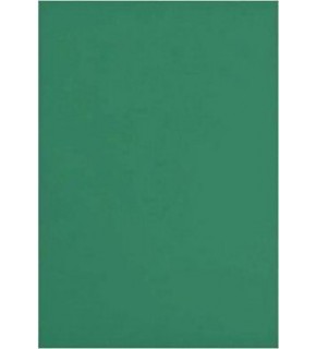 Eva 50X70 Düz Haki 10 Lu E49400