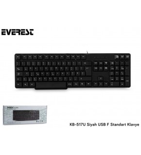 Everest KB-517UF Siyah USB F Standart Klavye