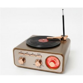 Everton RT-1217bt  Bluetooth Usb-Micro Plak Radyo