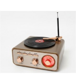 Everton RT-1217bt  Bluetooth Usb-Micro Plak Radyo